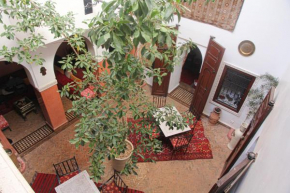 Riad Tizgui